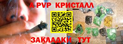 прущие грибы Будённовск
