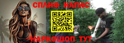 прущие грибы Будённовск
