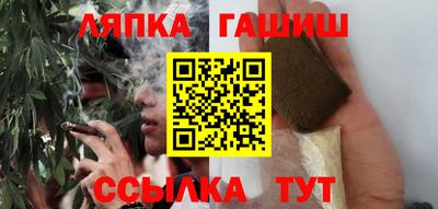 прущие грибы Будённовск