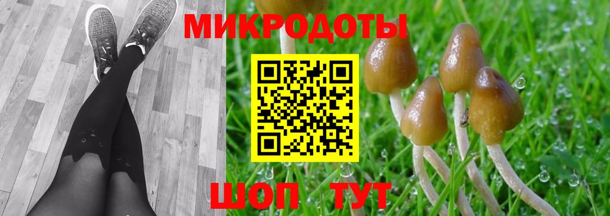 Псилоцибиновые грибы Psilocybine cubensis Советск